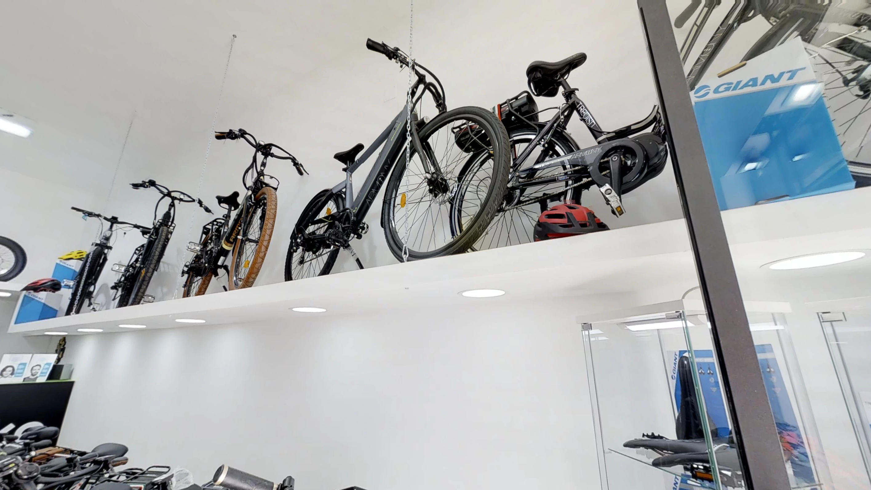 Ecobike - Imperatore Federico